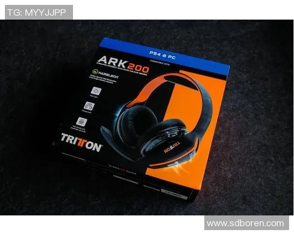 电竞比分重磅专题探讨JDG战队反击革新之路与未来展望